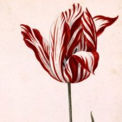 underverse's profile picture. Effigy Season 1 is now bingeable https://t.co/BWo4Ux6WUN