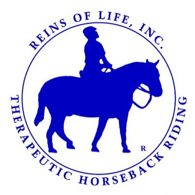 OUR MISSION: To improve the quality of life for children and adults with disabilities through equine-assisted therapy.