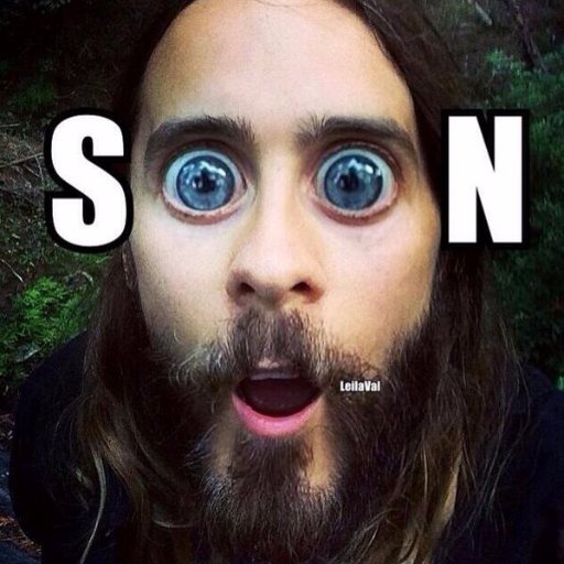 What's with the fascination with the Echelon ☀
FAN ACCOUNT🎤🎧