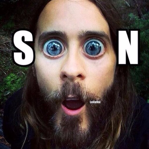 What's with the fascination with the Echelon ☀ FAN ACCOUNT🎤🎧