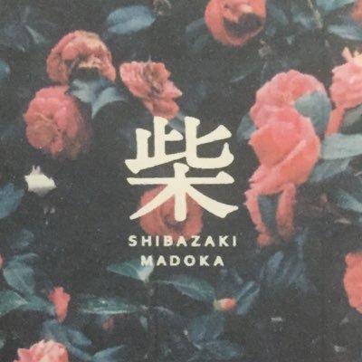 shibazakimadoka Profile Picture
