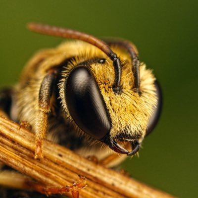 Are you located in the greater Philadelphia area? If you have pest issues go to https://t.co/ob4lDtcFlB