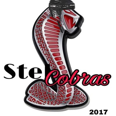 Welland StelCobras