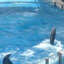 Donna Melson - @dsmel - Twitter