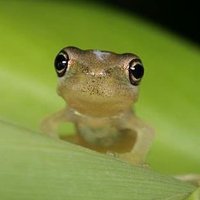 南極熊 (@southbeartw) 's Twitter Profile