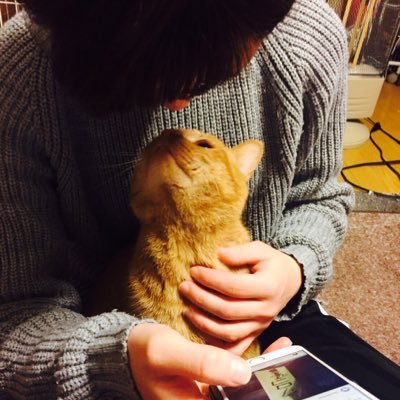 springsky420's profile picture. アカウント移行中→@springsky_420