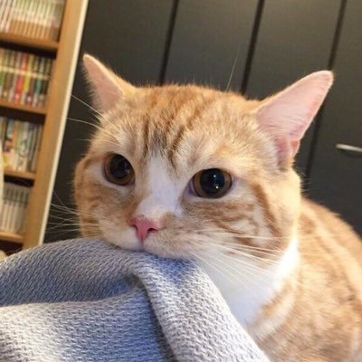 cobaltum69's profile picture. 