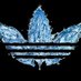 helal (@k9_zoofilia) Twitter profile photo helal (@k9_zoofilia) Twitter profile photo