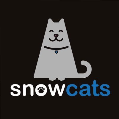 We sold all of our Snowcats for Lost Cats Brighton! Sales prices and total made to be published on our website soon.
