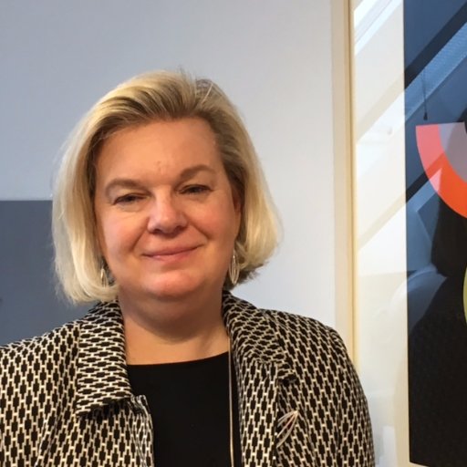 CEO Hanaholmen - Cultural Center for Finland and Sweden, board professional