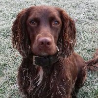 Andrew Appelboam (@aappelboam) 's Twitter Profile