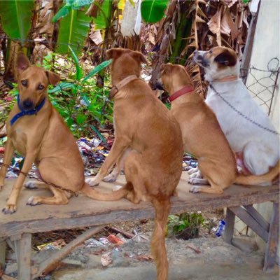 Cristin66019173's profile picture. 