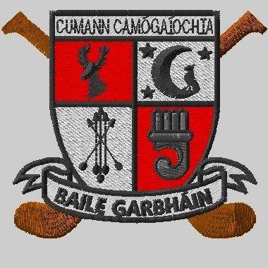 Ballygarvan Camogie Profile
