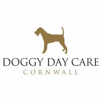 DoggyDayCareCornwall(@DoggyDaycareSW) 's Twitter Profileg