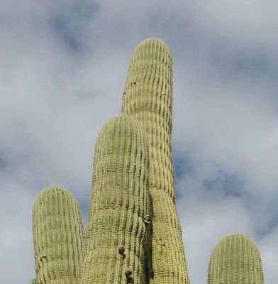 evasahsa's profile picture. 