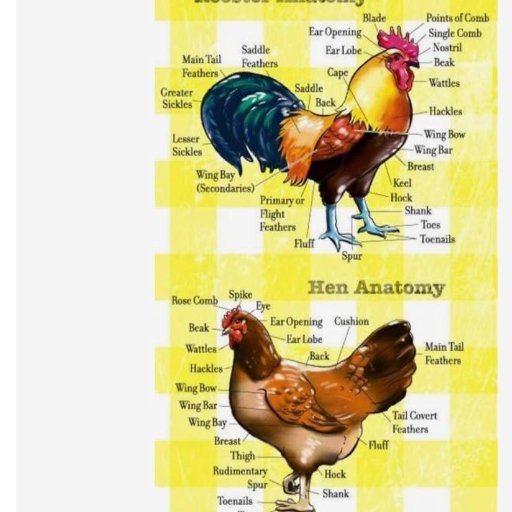 wodin69's profile picture. 'It can't rain all the time'