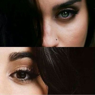 _CAMREN_NEWS_'s profile picture. Was never real... ever