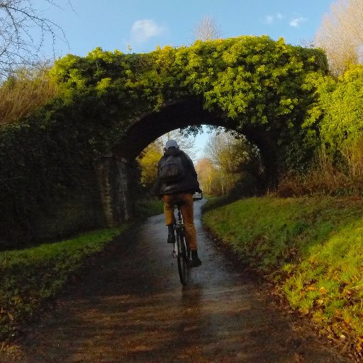 byebyefishies's profile picture. Independent New Zealand musical project. Debut album ✨ Of No Particular Significance ✨ out now.