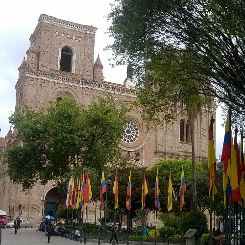 avaluosmuni's profile picture. 