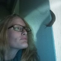 maia o'neill (@nursemaia) 's Twitter Profile Photo maia o'neill (@nursemaia) 's Twitter Profile Photo