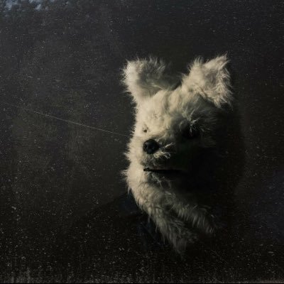 IndigoSneed's profile picture. turn & face the strange