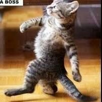 Adamant71819485's profile picture. 