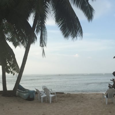 Nzinga02's profile picture. 