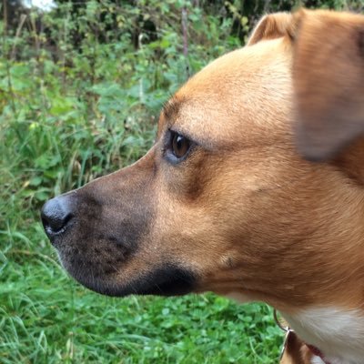 DerrenY's profile picture. IT Guru, Adopted Northerner, Still got the Essex Accent Though