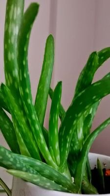 Kerrysocialwork's profile picture. 