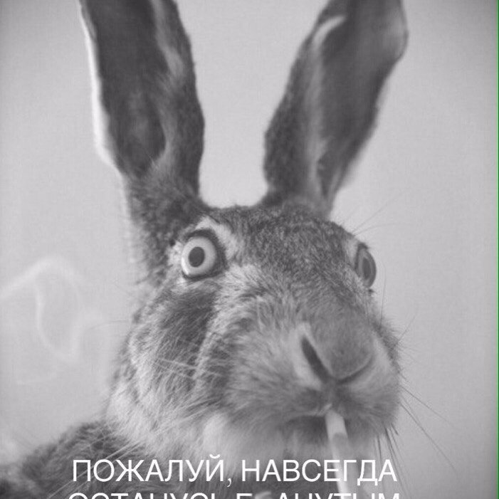 shikhariev90's profile picture. я хороший