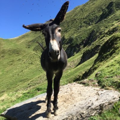 AronMLugby's profile picture. 