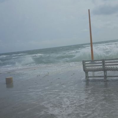 abc3333363's profile picture. 