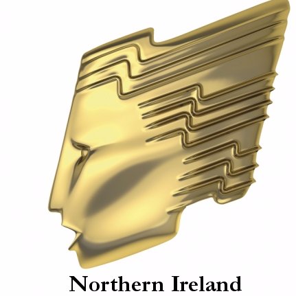 RTS_NI Profile