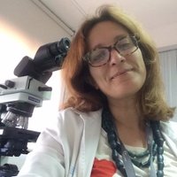 Stefania Landolfi (@steland011) 's Twitter Profile
