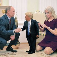 TheRealDonaldTrump (@therealtrumf) 's Twitter Profile