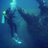 Travel_Eat_Dive's profile image