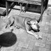 Lucky Dog Hi-Fi (@luckydoghifi) Twitter profile photo Lucky Dog Hi-Fi (@luckydoghifi) Twitter profile photo