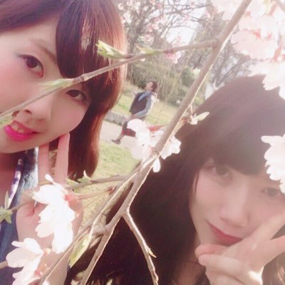 nananahype's profile picture. 六法むしゃむしゃしてるおじさん。本アカウント→@breedapart09