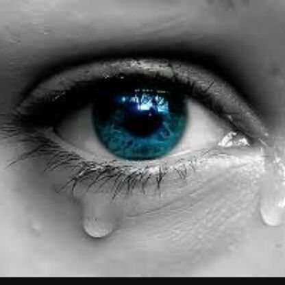 july15406469's profile picture. General News Soccer Players