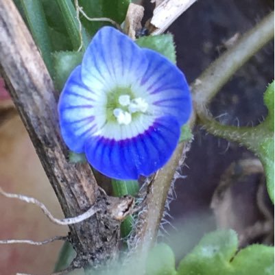 def82881's profile picture. 