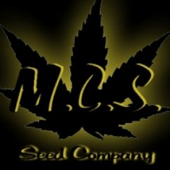 MCS Cannabis Seed features some of the worlds best #marijuana strains for sale #Cannabis located in #Montreal #Quebec Shipping world Wide #MCS