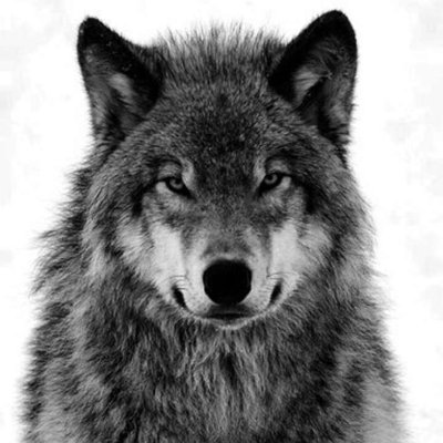 hisham__1998's profile picture. قُل عنّي ماتشاء لكِن أُنظر إلى كتفِك الشمال هُناك حقّي محفوظ فتحدّث كما شِئت (سبحان الله وبحمدِه سبحان الله العظيم) Saudi Arabia❤️~