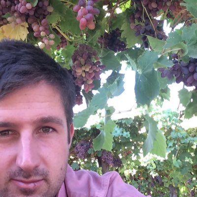 Horticultural Technologist for Fresh Produce Group of Australia. All views are my own.