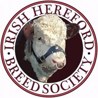 Irish Hereford(@IrishHereford) 's Twitter Profileg