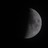 kurosuketoshino's profile image