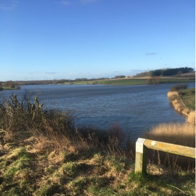 Slimmingman's profile picture. Following Slimming World. On a mission to lose 63lbs by 31st May 2017