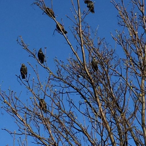 conradheine's profile picture. Journalist, London and Auckland mostly. RTs not endorsements.