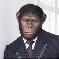 Carl Moll (@carlhvmoll) 's Twitter Profile