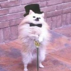 Bluez_osrs's profile picture. 