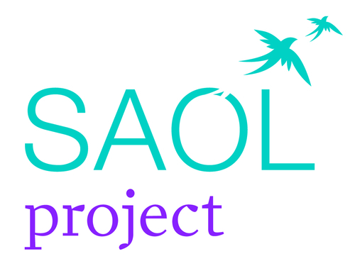 SAOL Project